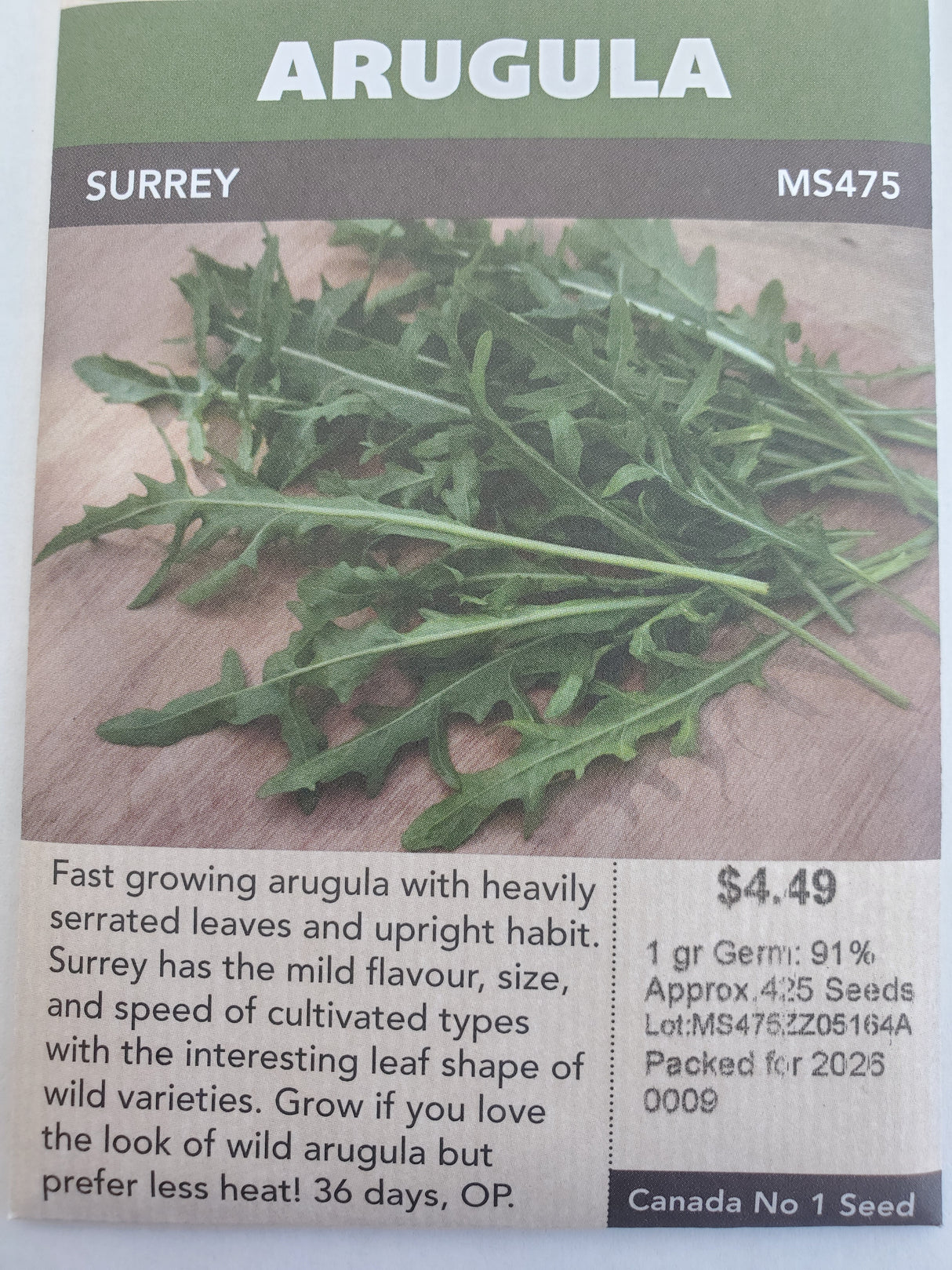 SEEDS - ARUGULA SURREY