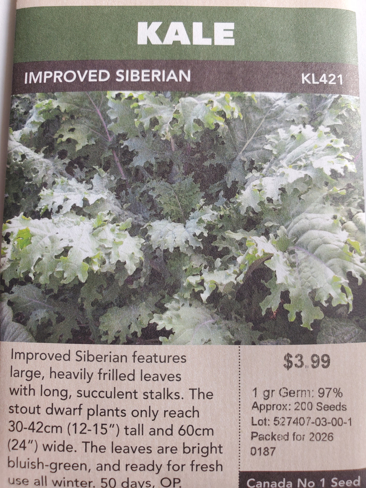 SEEDS - KALE IMPROVED SIBERIAN