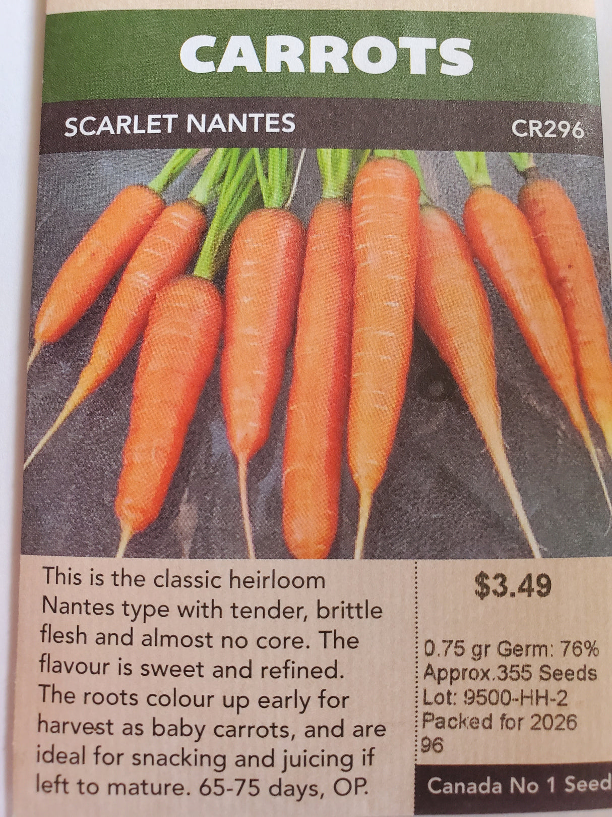 SEEDS - CARROTS SCARLET NANTES