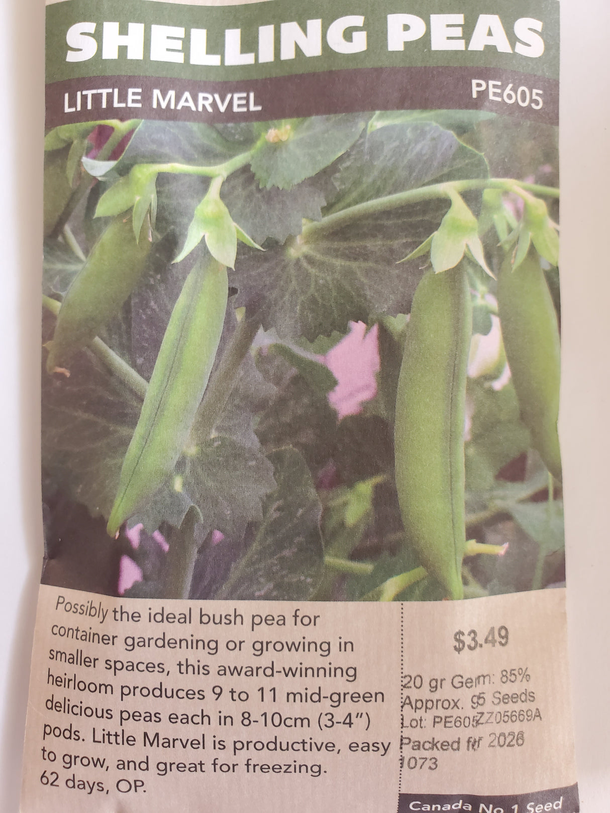 SEEDS - SHELLING PEAS LITTLE MARVEL