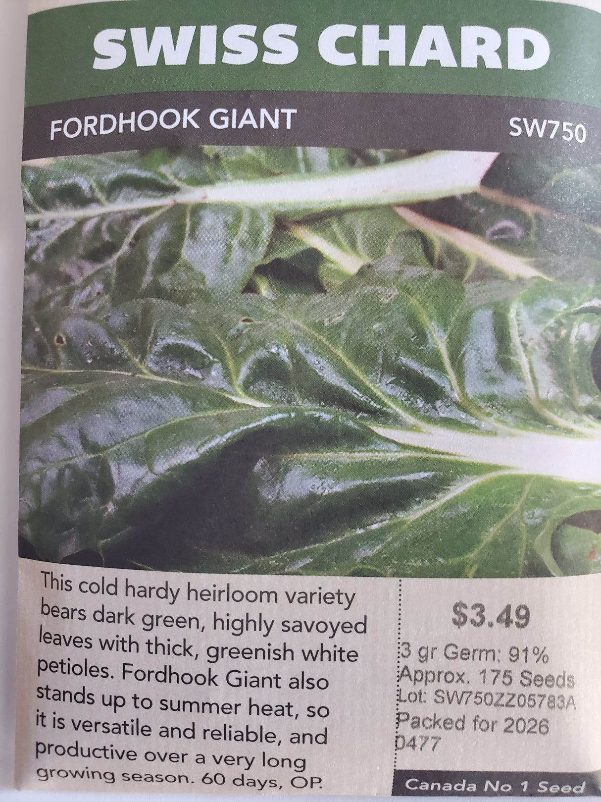 SEEDS - SWISS CHARD FORDHOOK GIANT