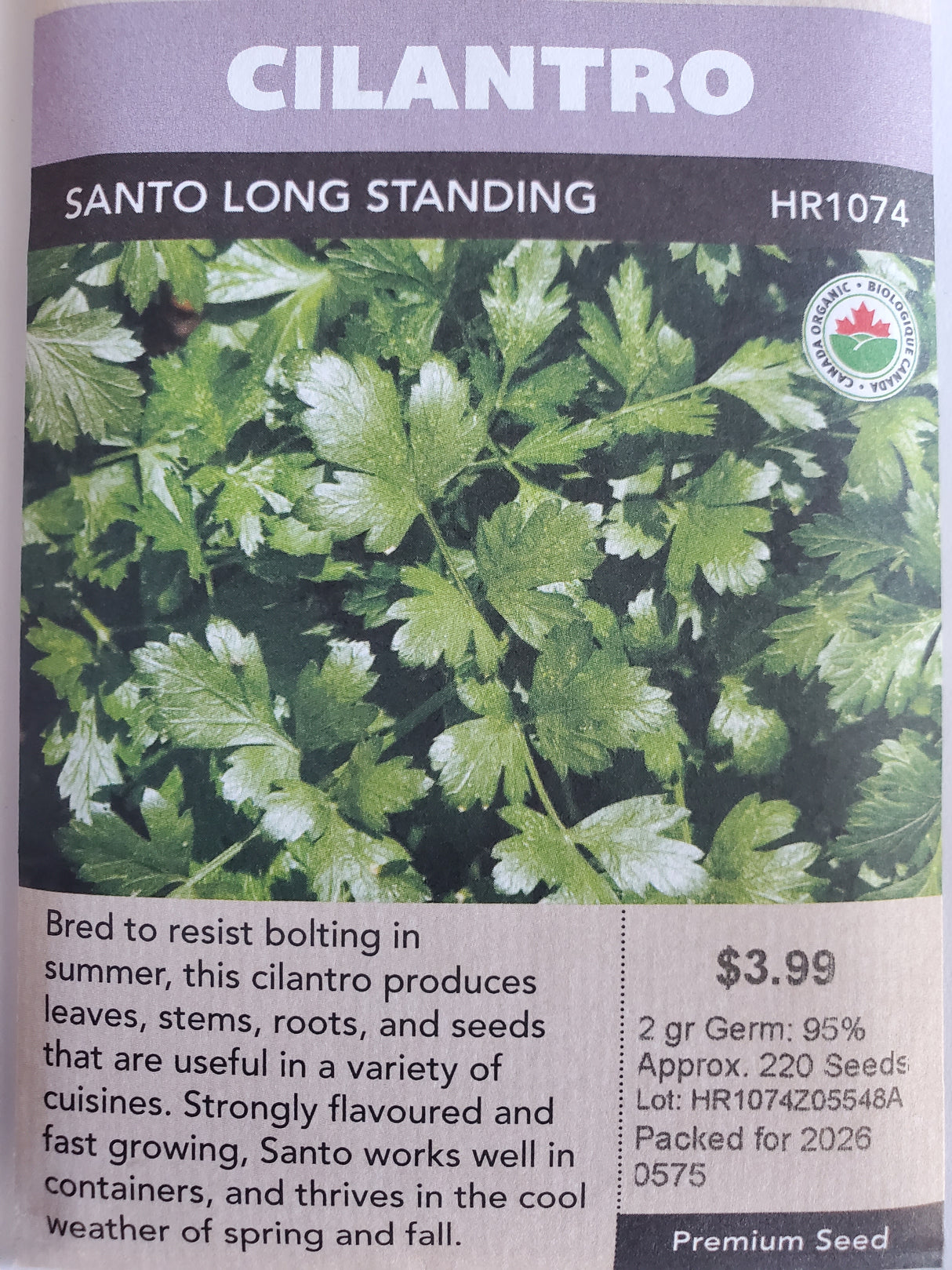 SEEDS - CILANTRO SANTO LONG STANDING