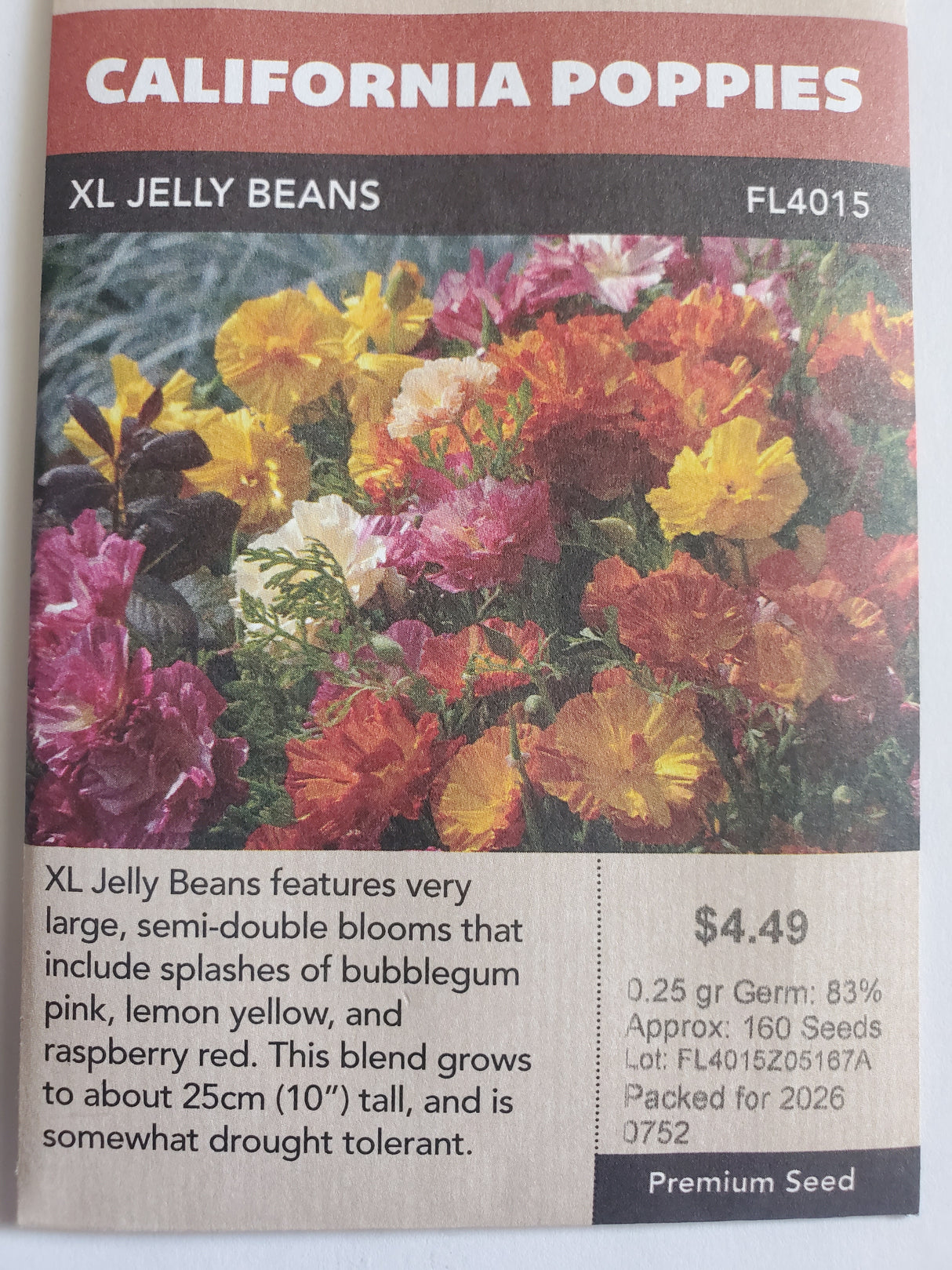 SEEDS - CALIFORNIA POPPIES XL JELLY BEANS