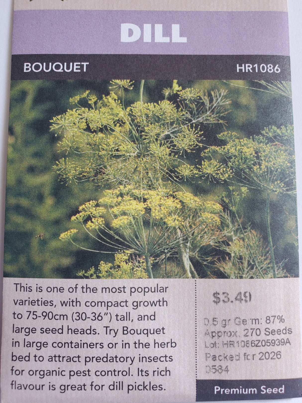 SEEDS - DILL BOUQUET