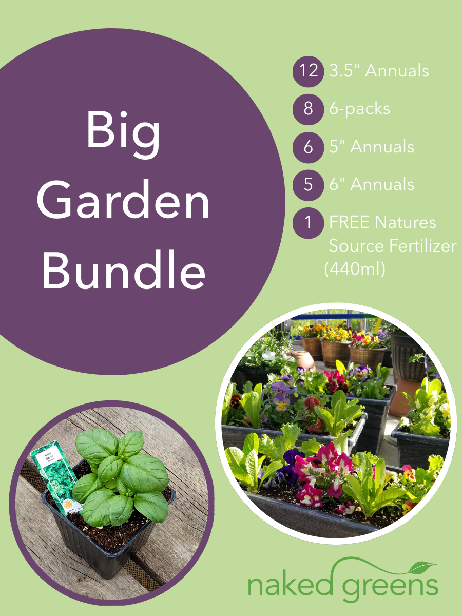 The Big Garden Bundle