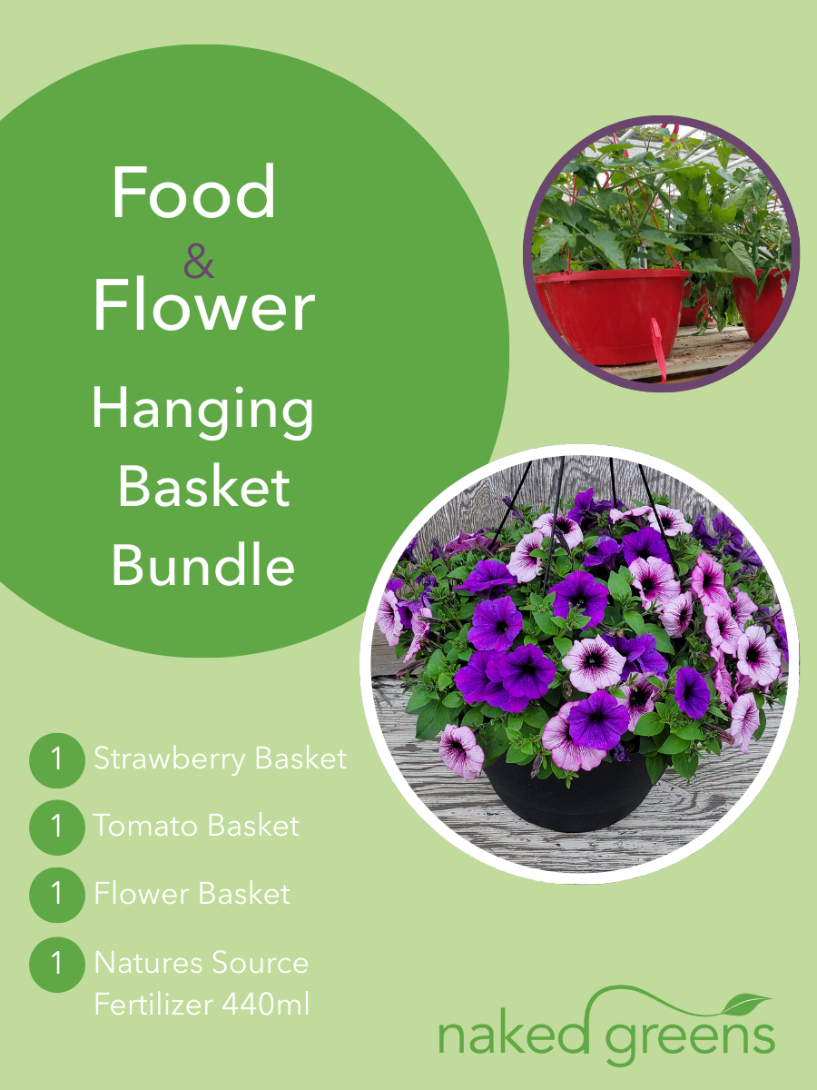Food & Flower Hanging Basket Bundle