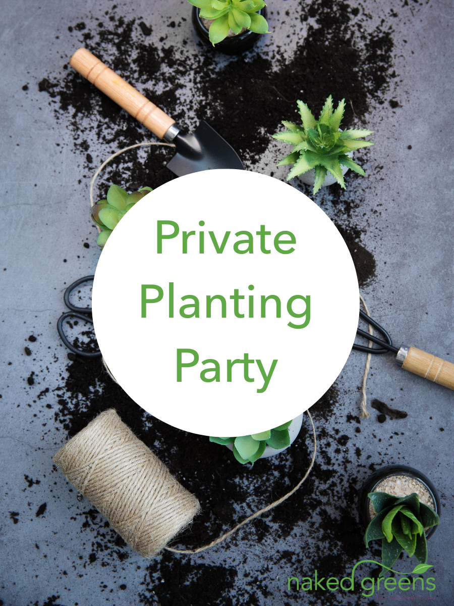 2-hour Planting Party