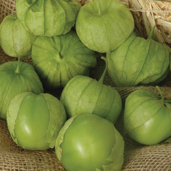 Tomatillo Tamayo