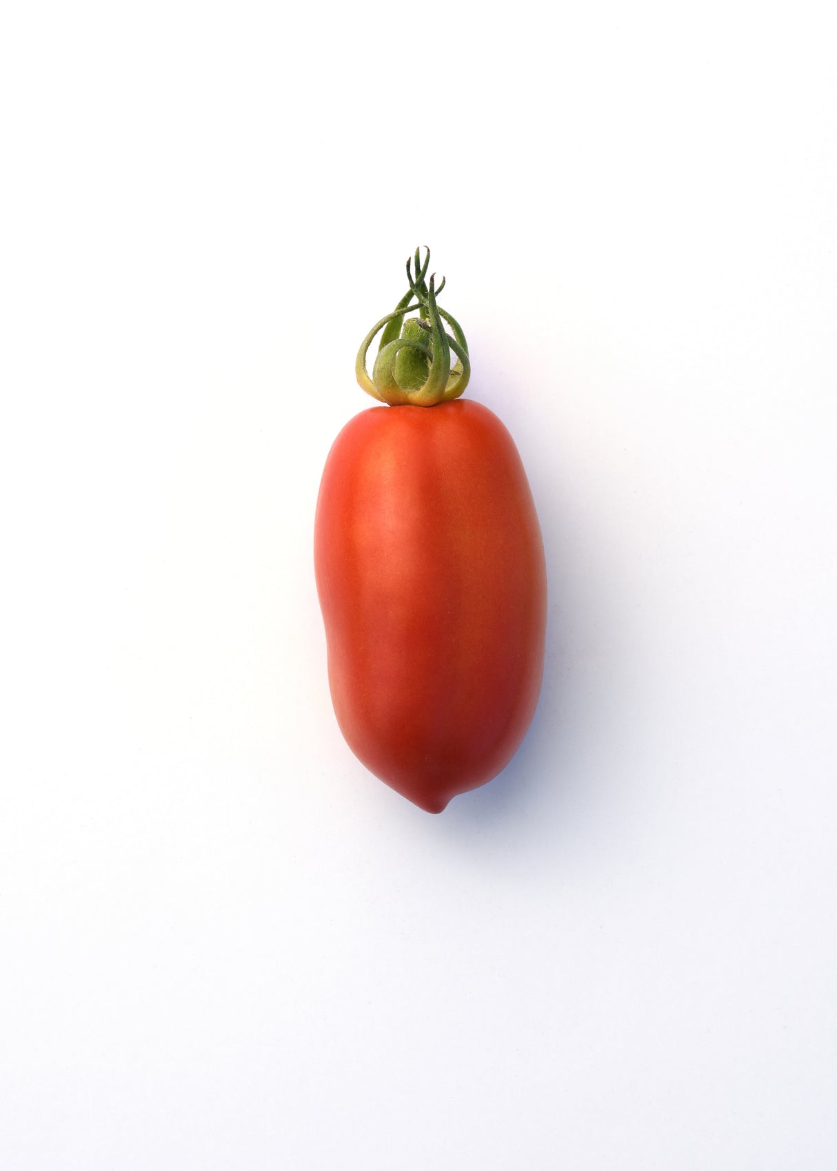 San Marzano Tomato