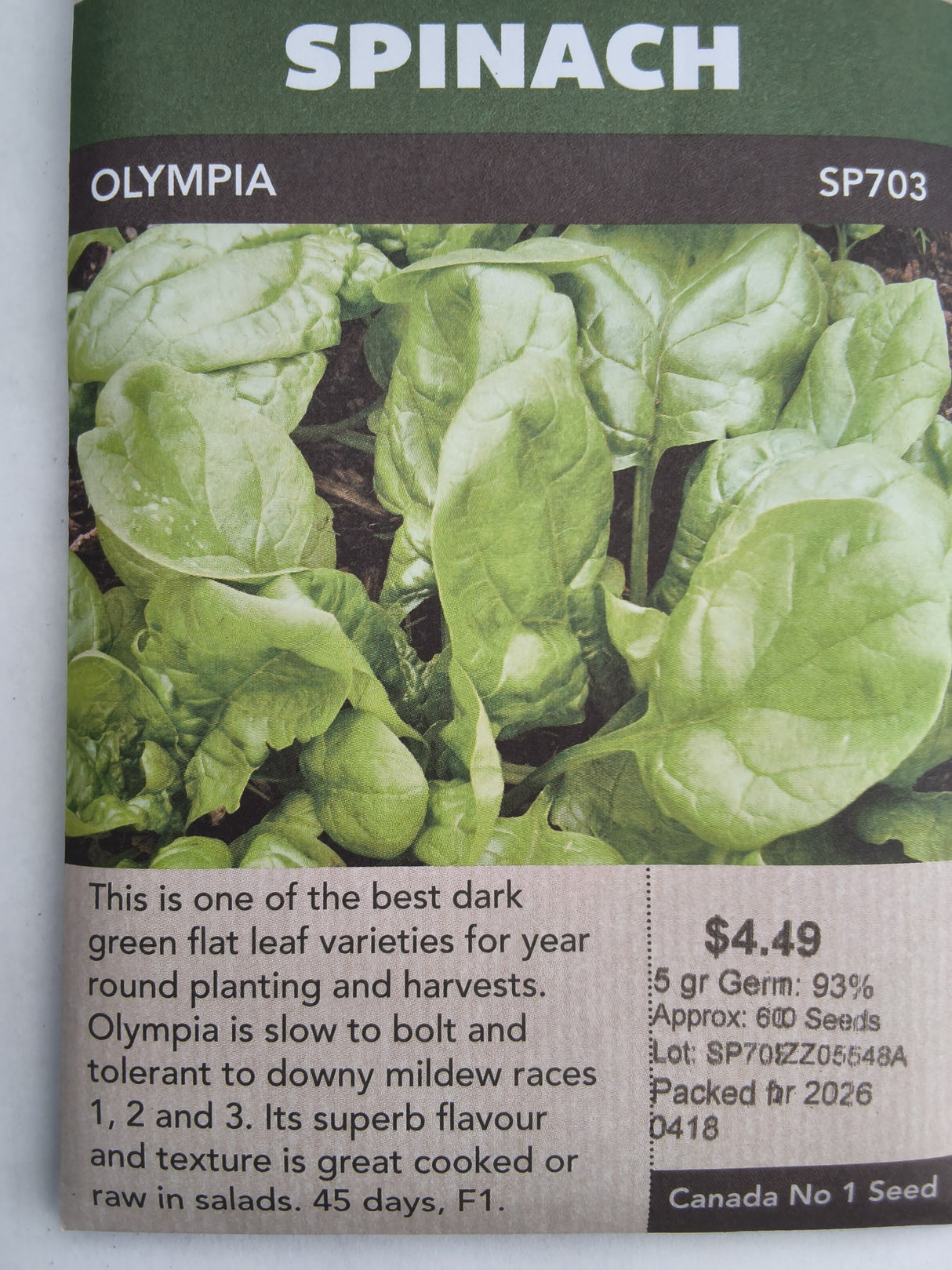 SEEDS - SPINACH OLYMPIA