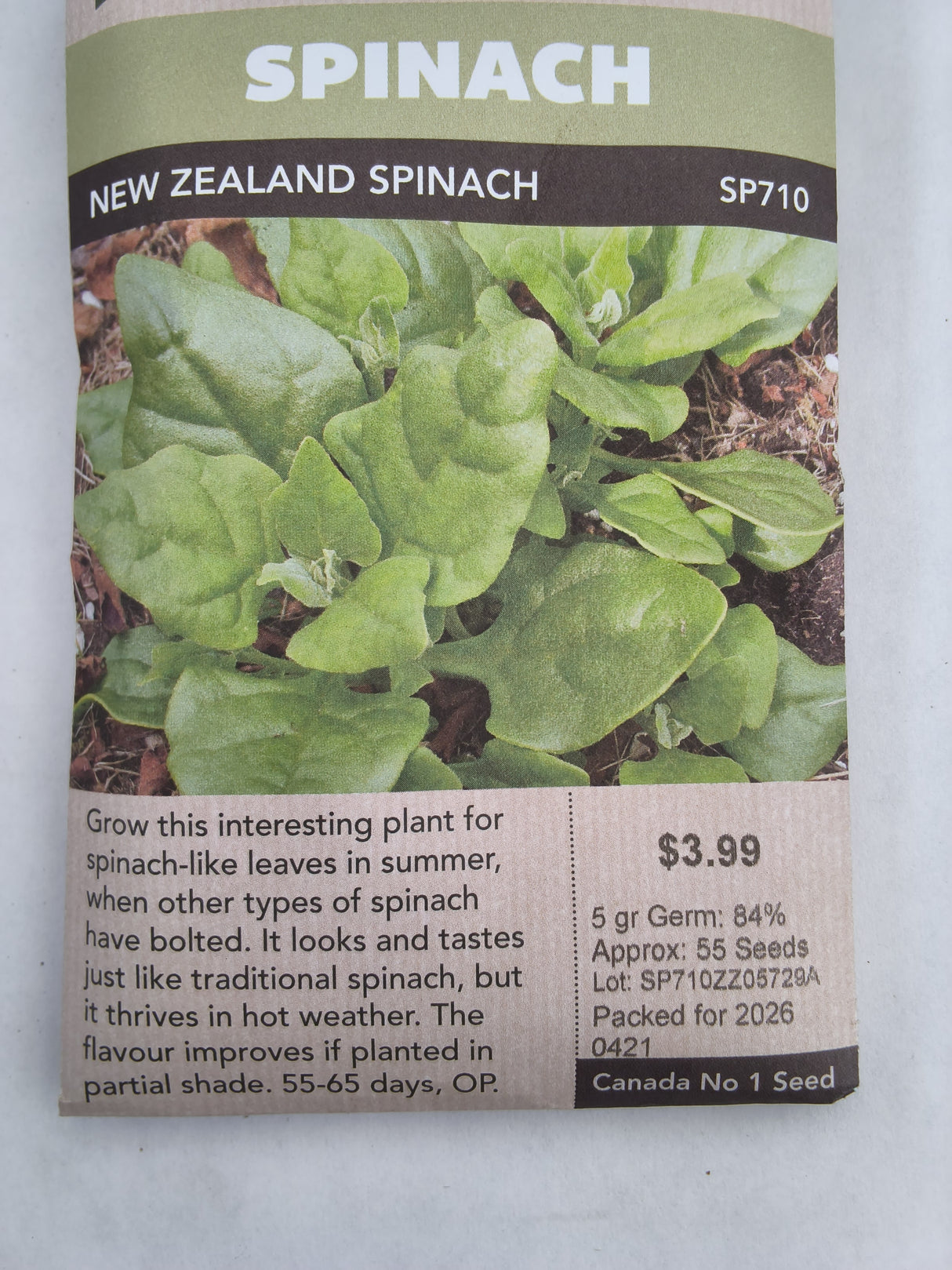 SEEDS - SPINACH NEW ZEALAND