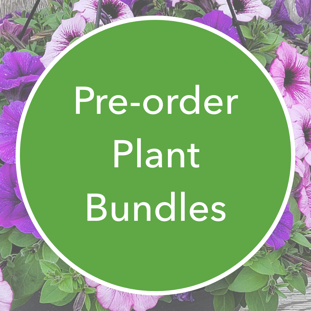 Pre-order Plant Bundles 2026