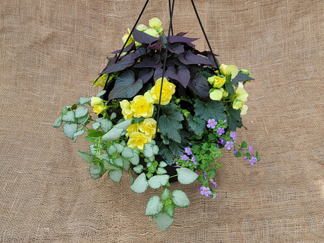 10" Hanging Baskets