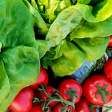 All Produce
