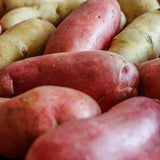 Root Vegetables