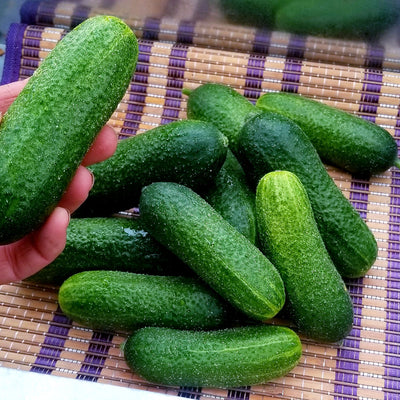 Naked Greens - Alberta Grown Vegetables