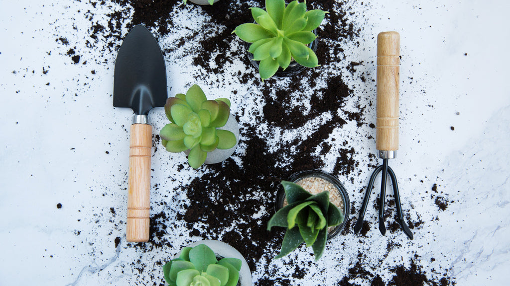 Empty Pots