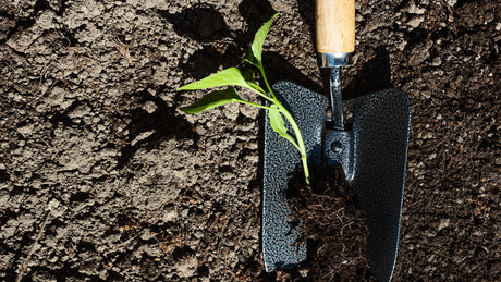 All Goods & Supplies