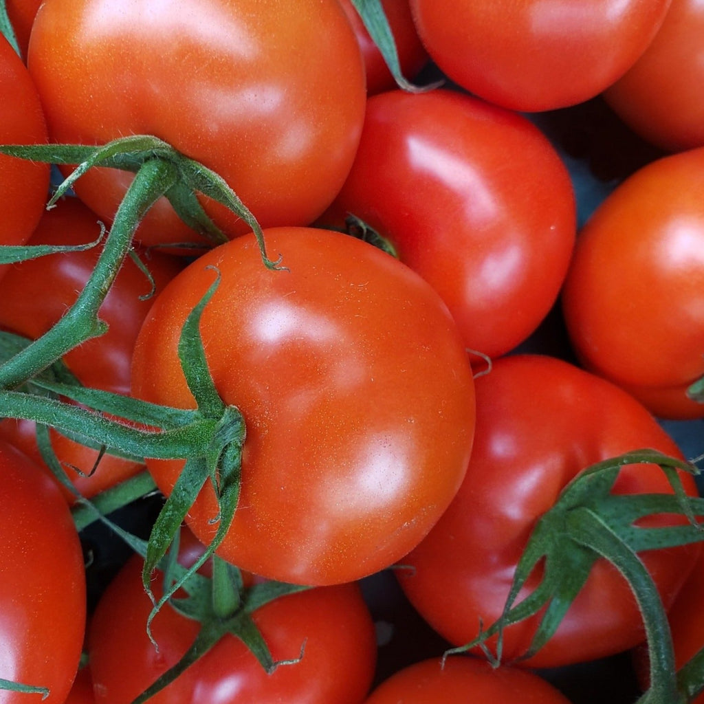 Tomatoe Hanging Baskets