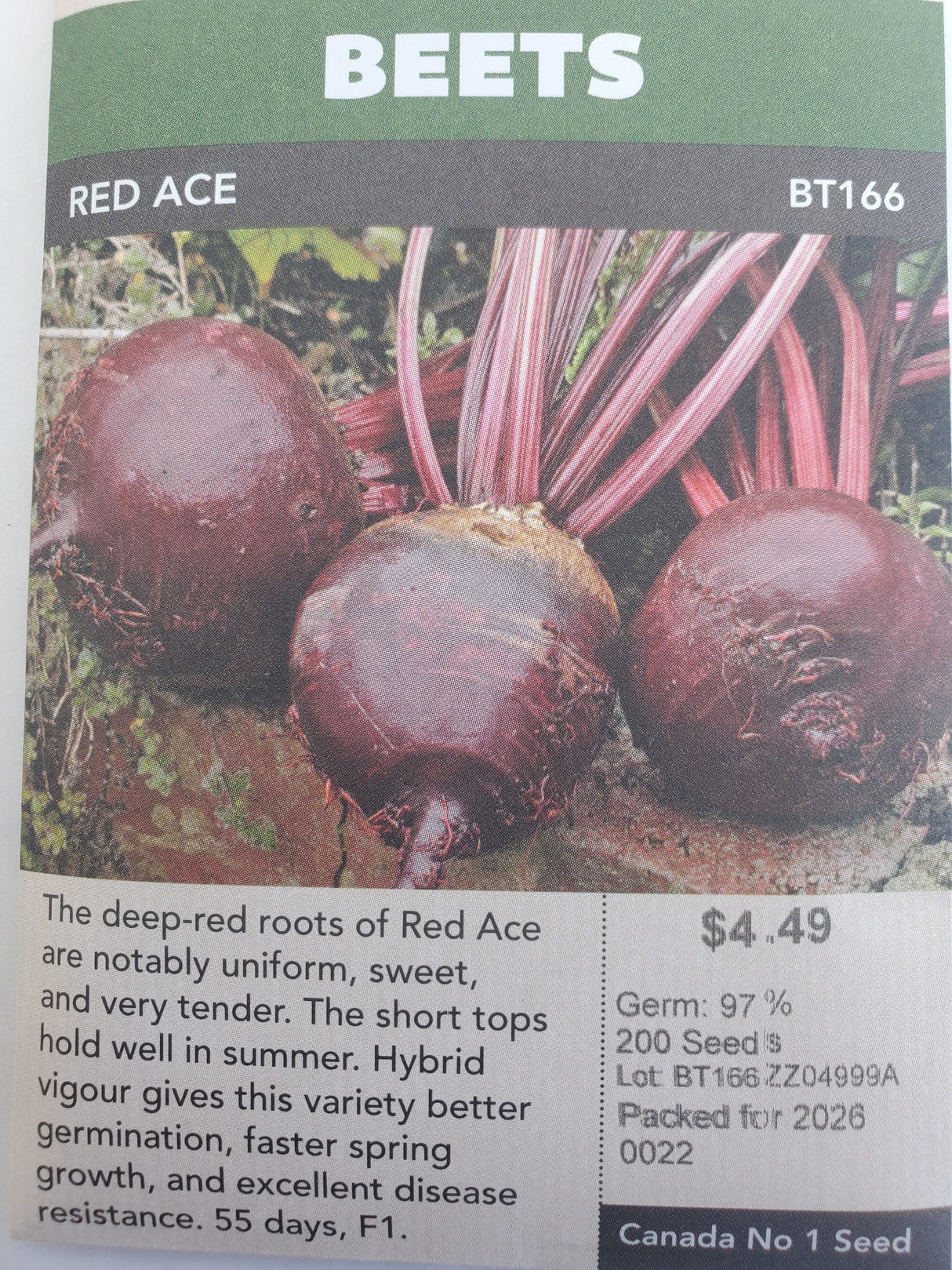 SEEDS - BEETS RED ACE