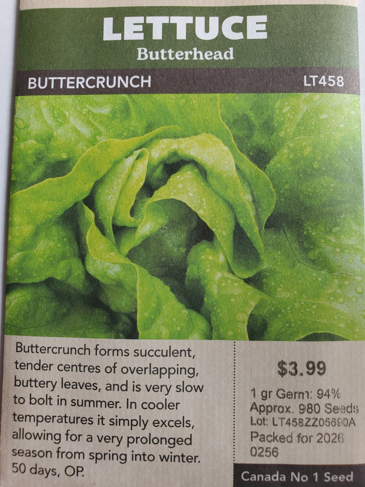 SEEDS - LETTUCE BUTTERCRUNCH