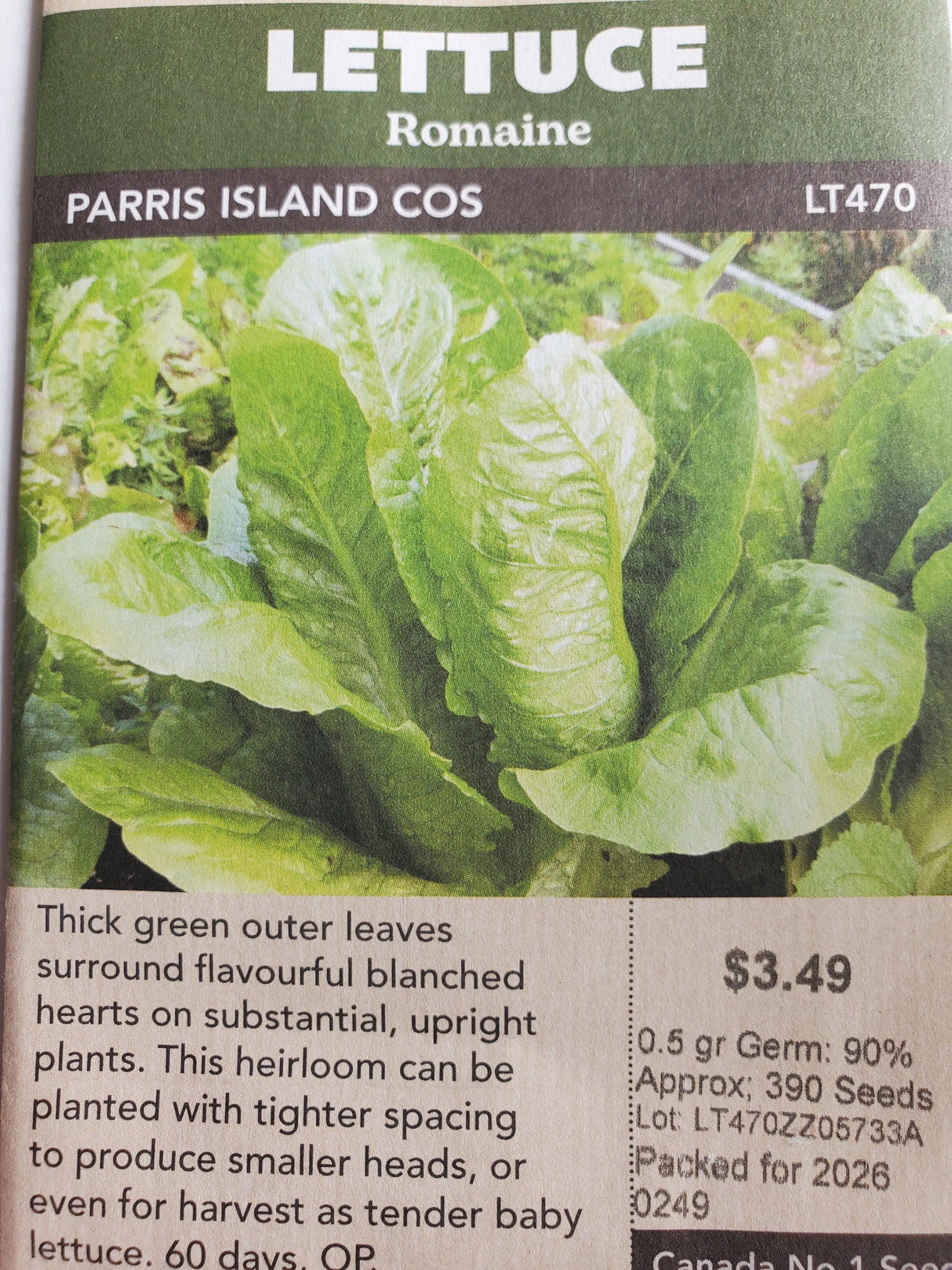 SEEDS - LETTUCE ROMAINE PARRIS ISLAND COS