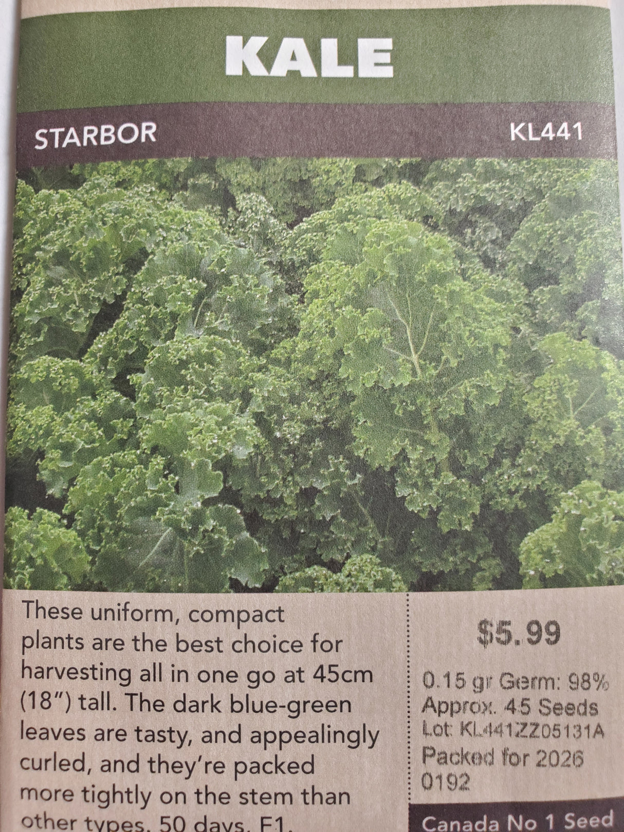 SEEDS - KALE STARBOR