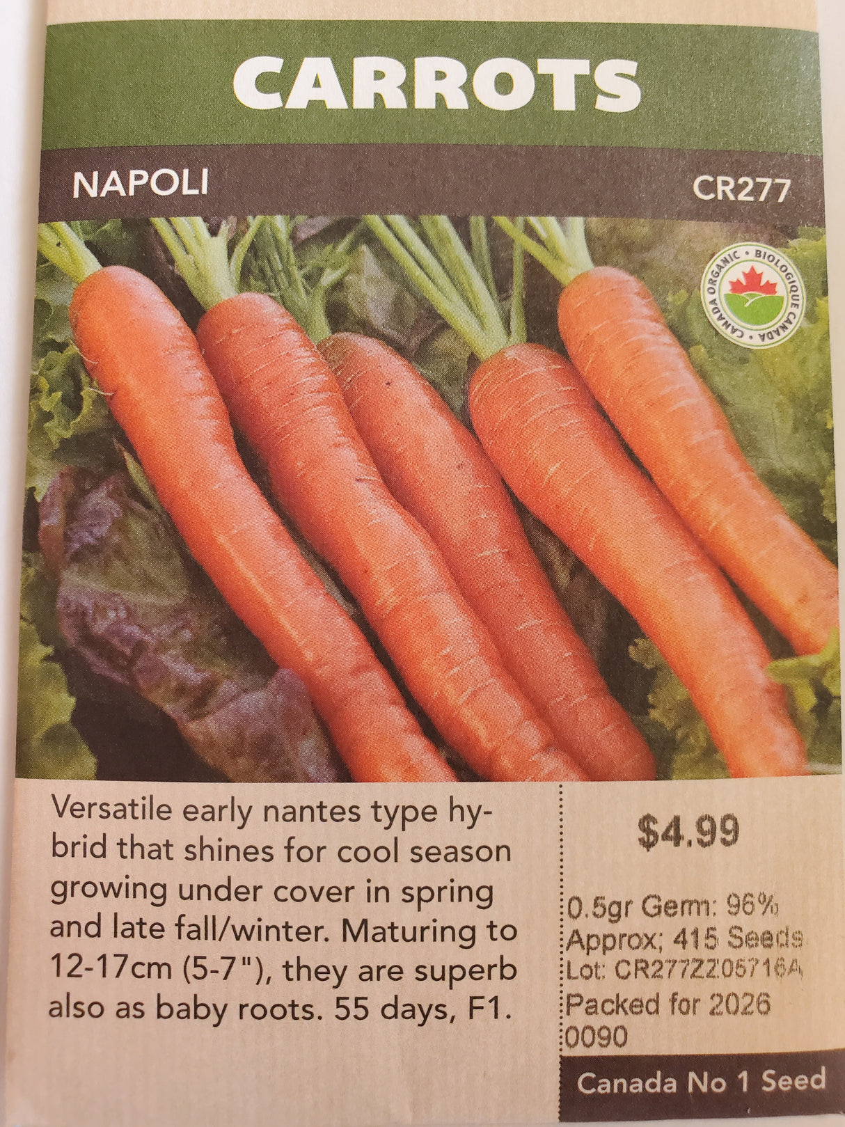 SEEDS - CARROTS NAPOLI