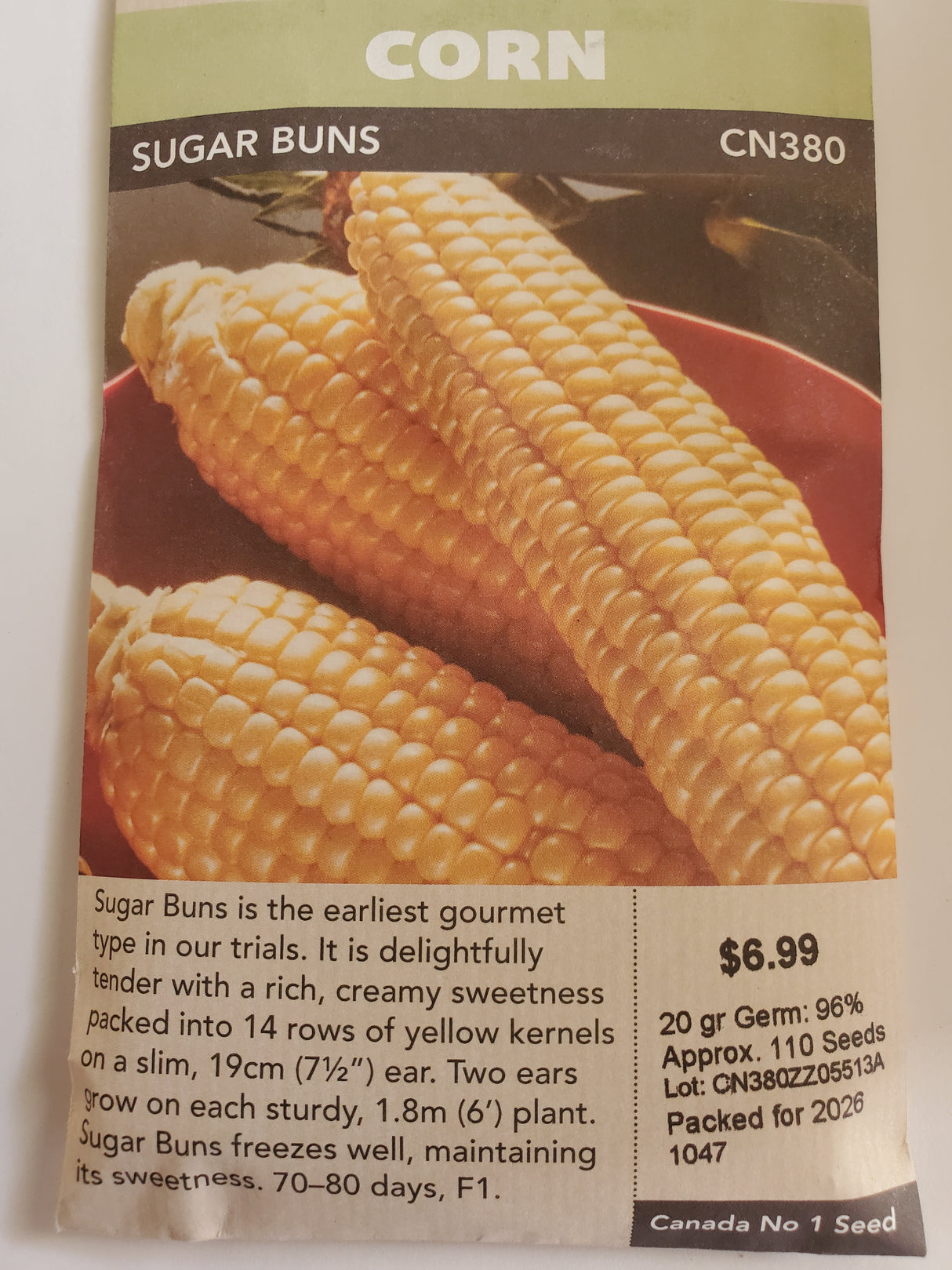 SEEDS - CORN SUGAR BUNS
