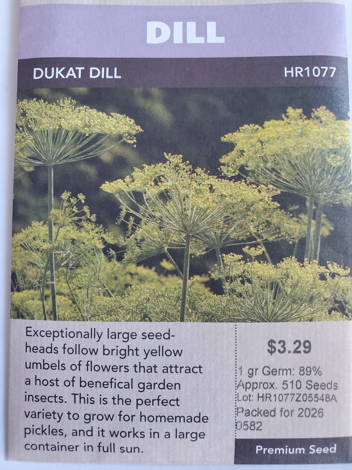 SEEDS - DILL DUKAT DILL