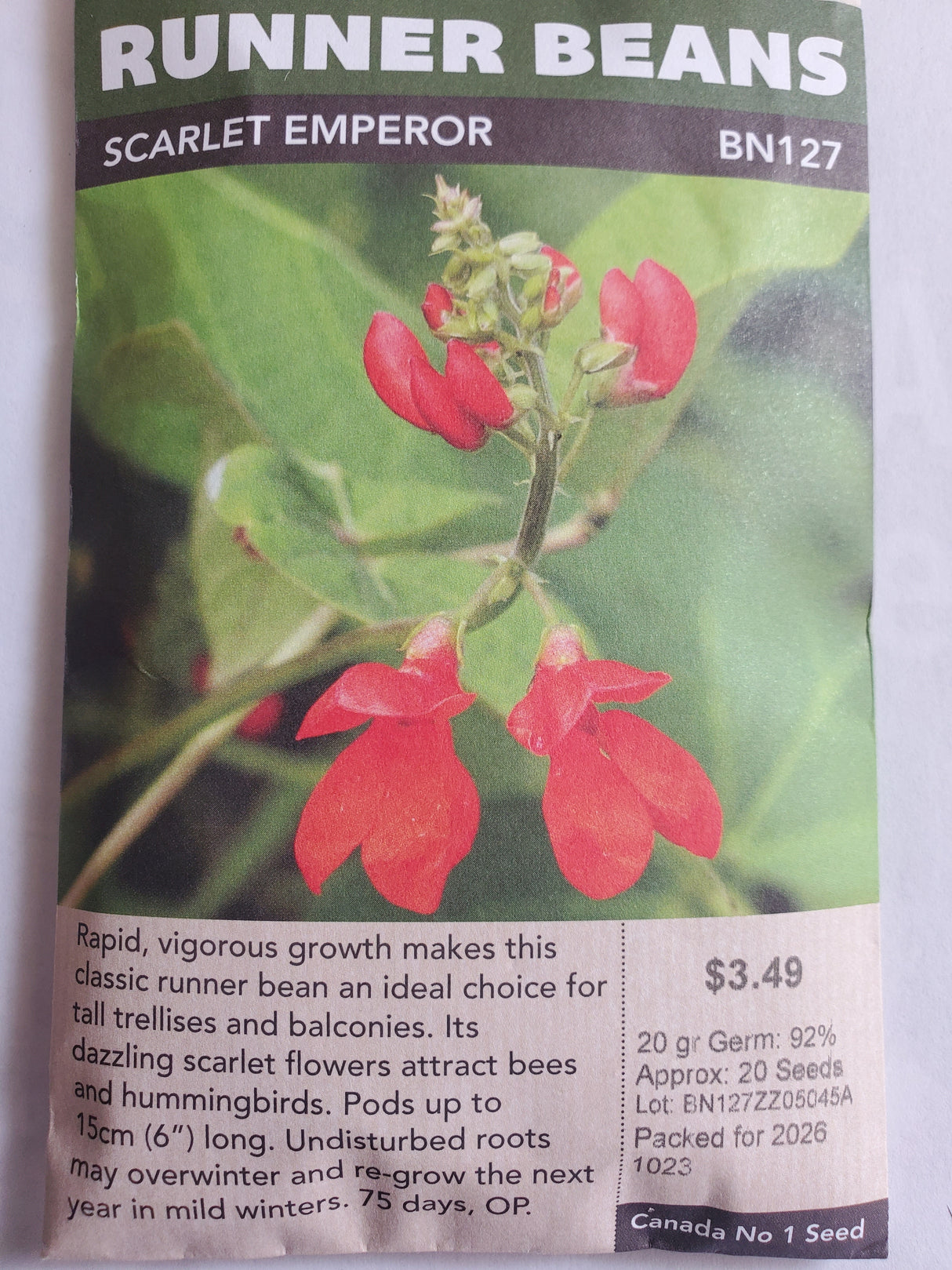 SEEDS - RUNNER BEANS SCARLET EMPEROR