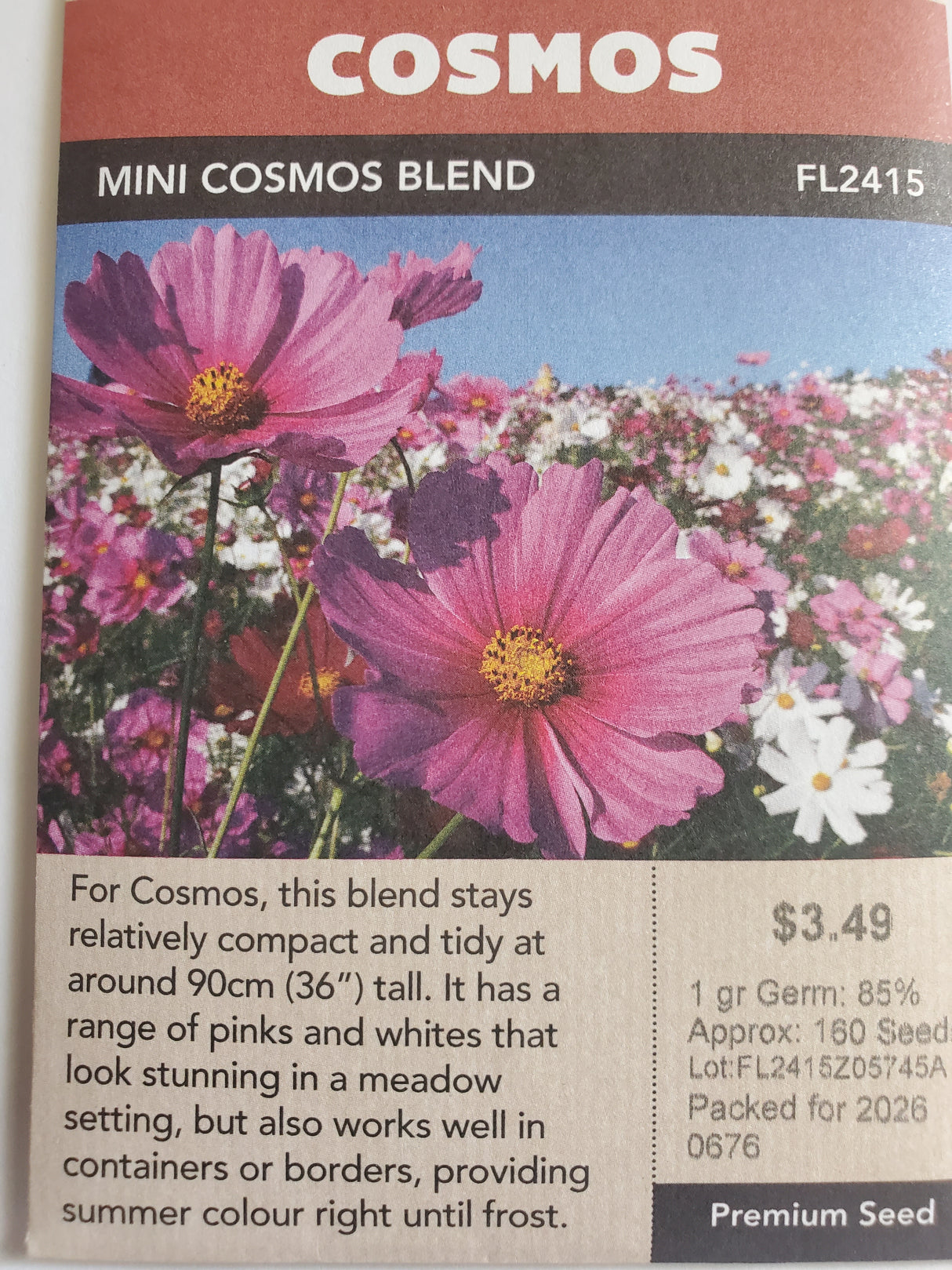 SEEDS - COSMOS MINI COSMOS BLEND