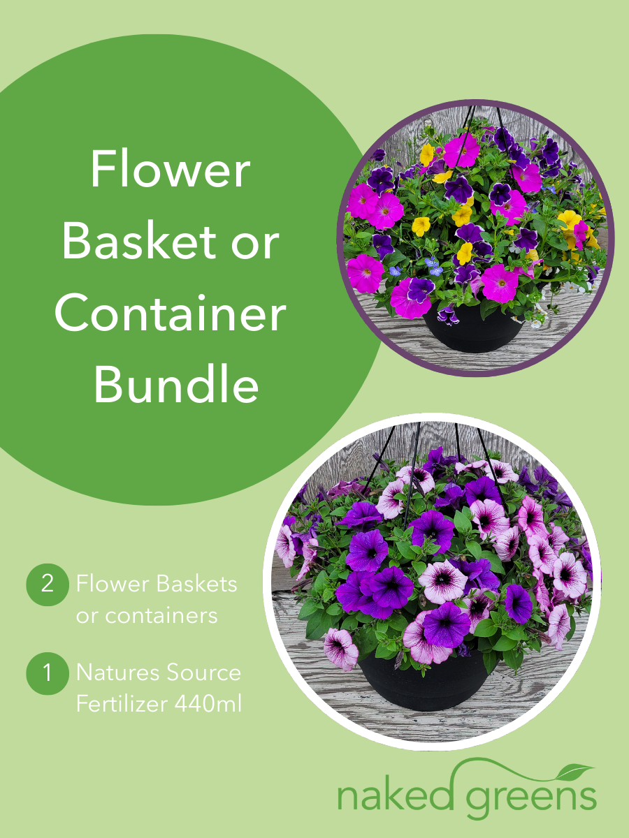 Flower Basket / Container Bundle