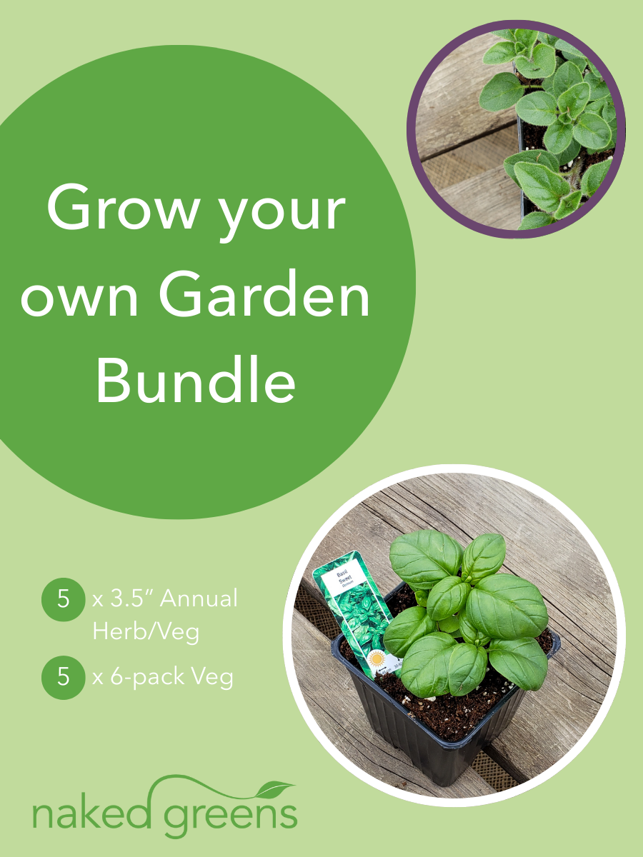 Grow Your Own Garden Bundle