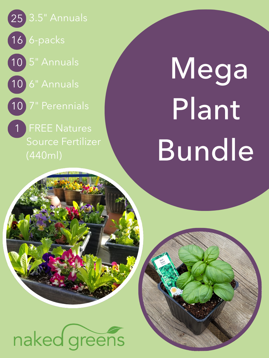 The Mega Plant Bundle