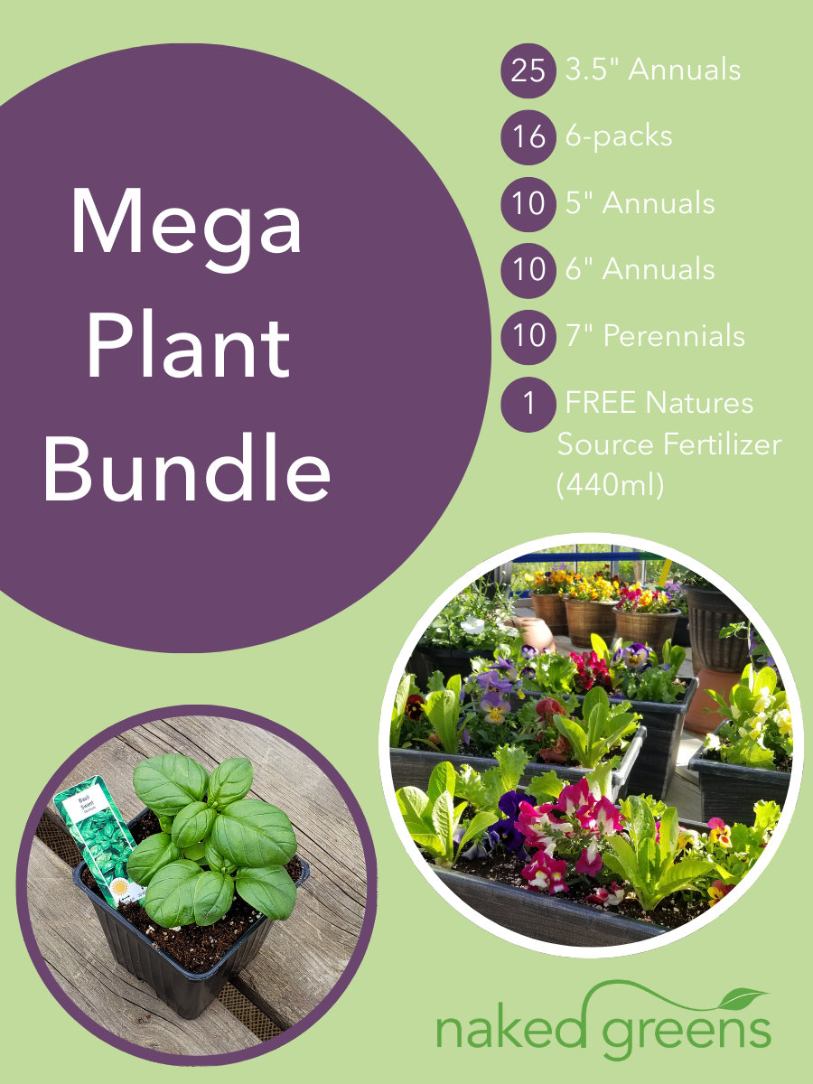 The Mega Plant Bundle