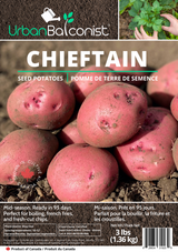 Seed Potatoes  - Chieftain