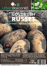 Seed Potatoes - Russet