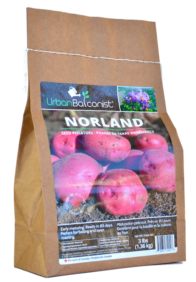 Seed Potatoes  - Norland