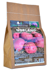 Seed Potatoes  - Norland