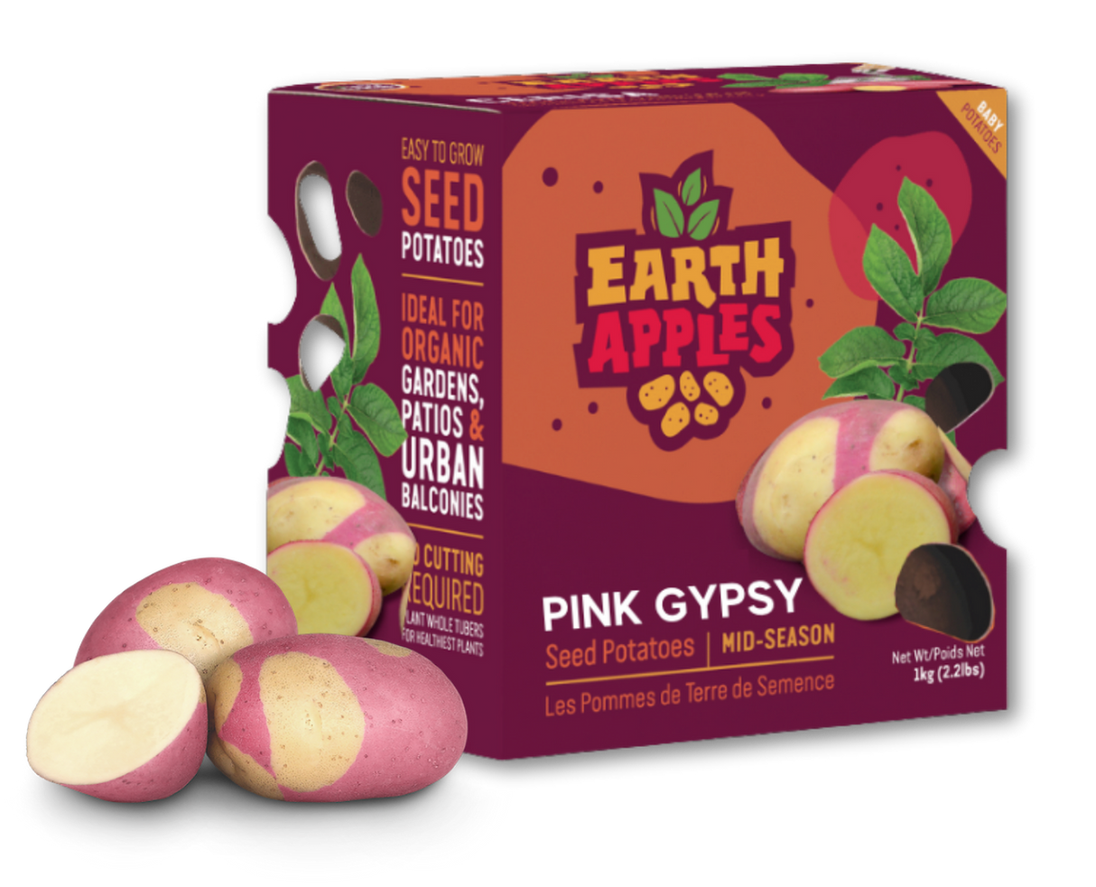 EARTH APPLES PINK GYPSY
