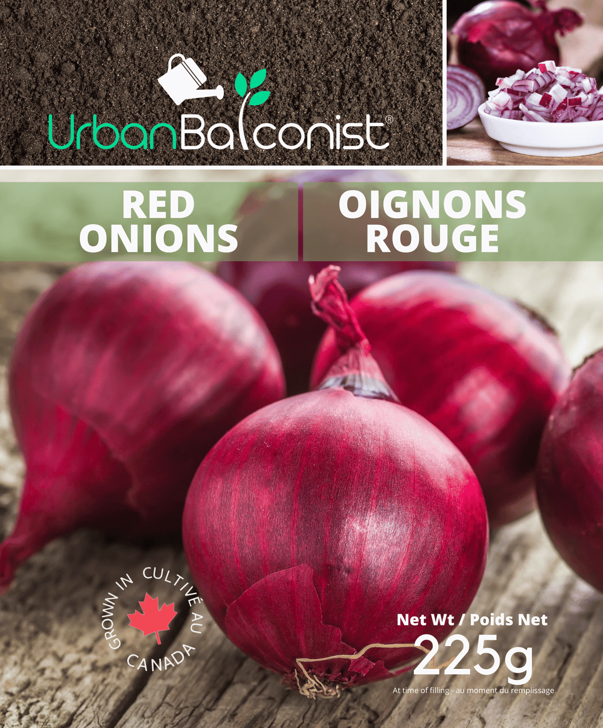 Seed Onions  - Red