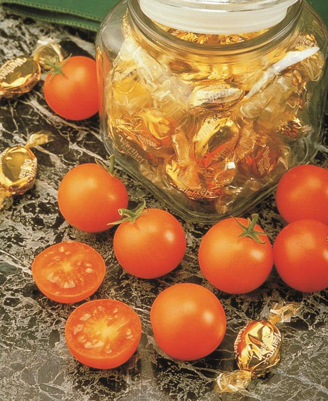 Sunsugar Tomato