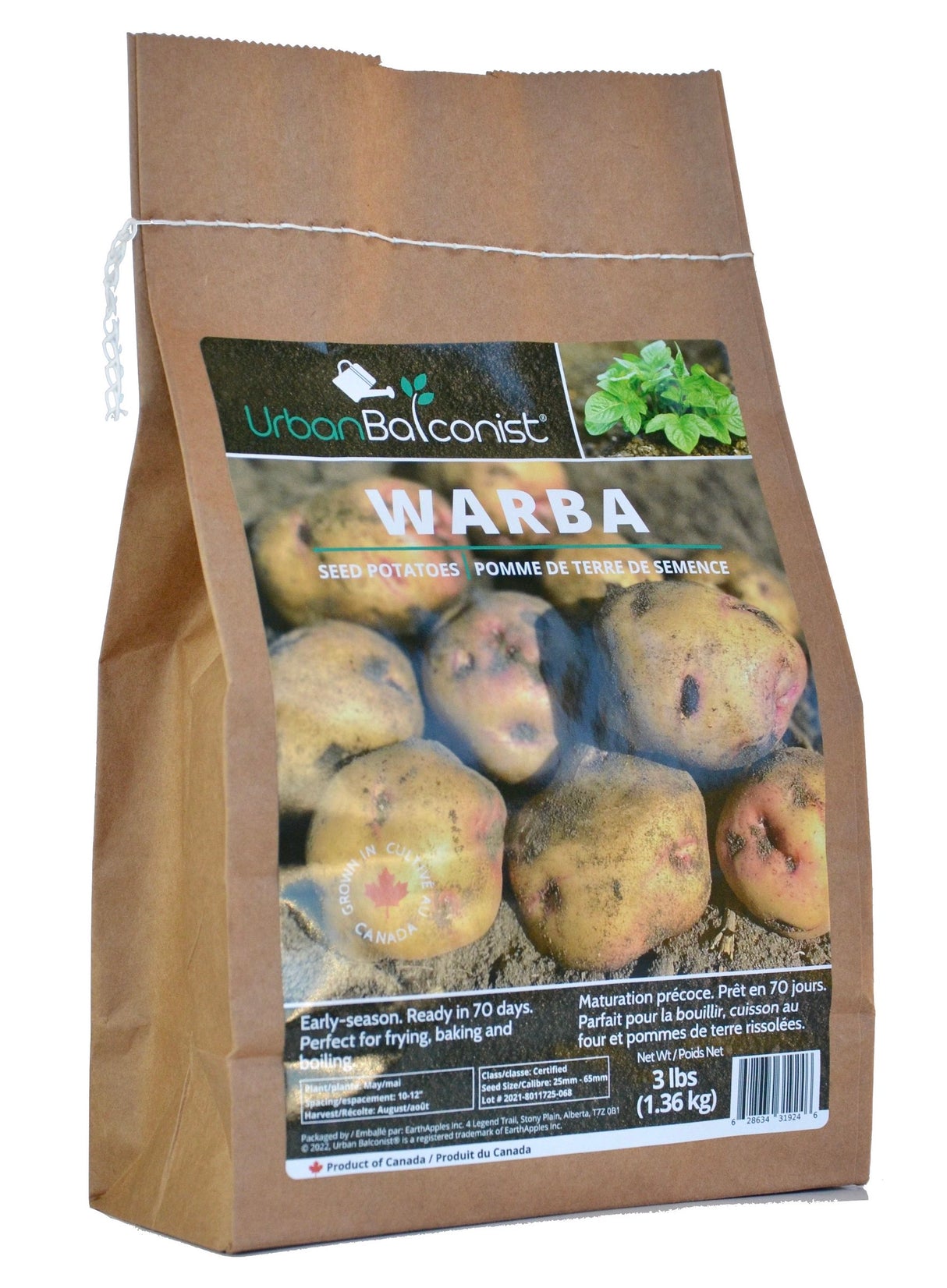Seed Potatoes - Warba