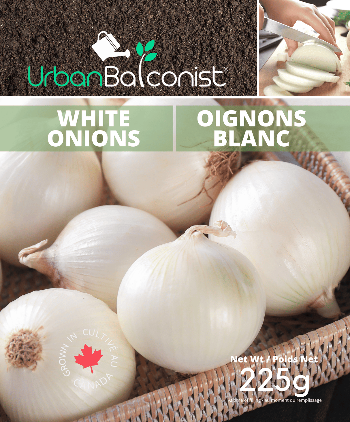 Seed Onions  - White
