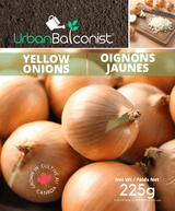 Seed Onions - Yellow