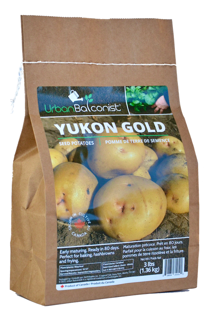 Seed Potatoes  - Yukon Gold