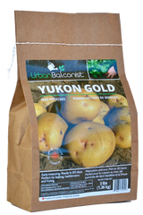 Seed Potatoes  - Yukon Gold