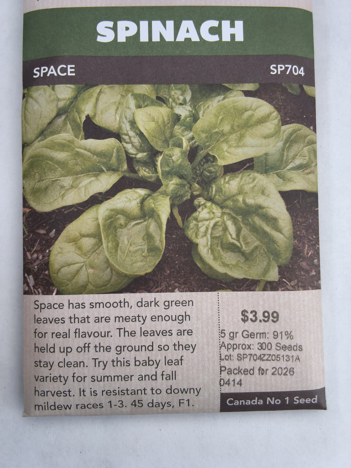 SEEDS - SPINACH SPACE